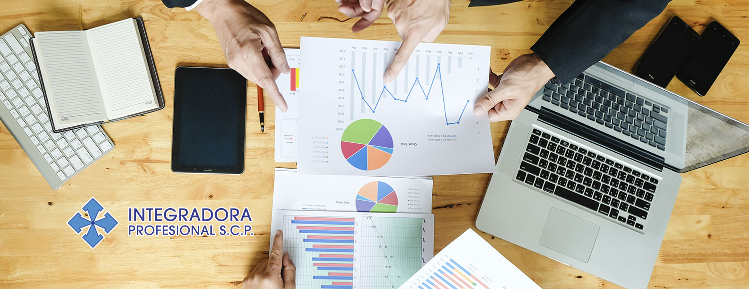 Integradora Profesional